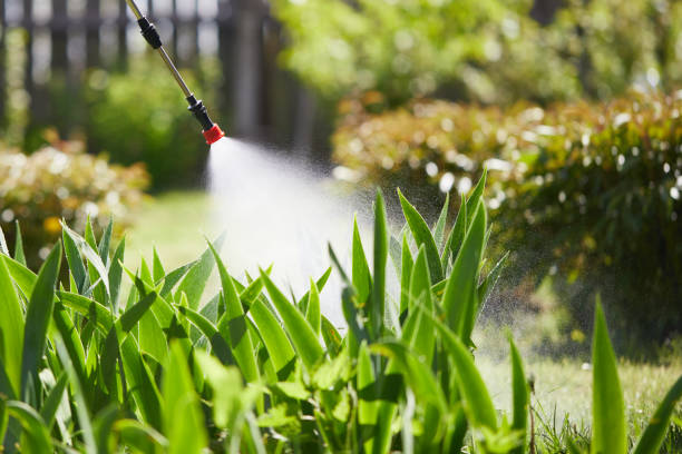 Tamper-Resistant Bait Stations for Rodents in Norwich