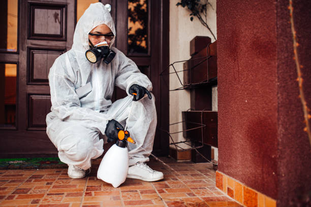 Attic and Crawl Space Rodent Treatment in Norwich